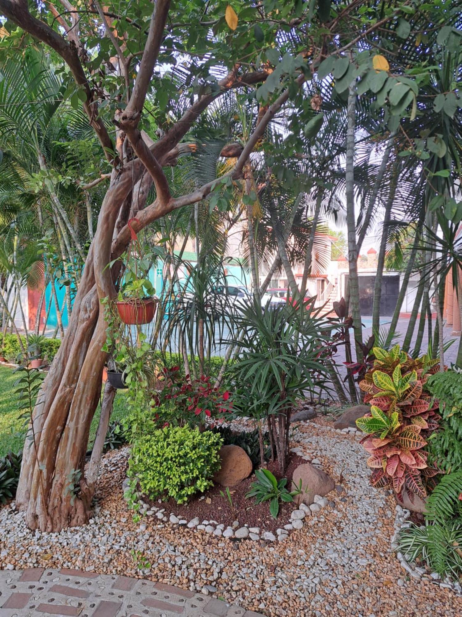 Hotel Quinta Paraiso Кокойок Екстер'єр фото